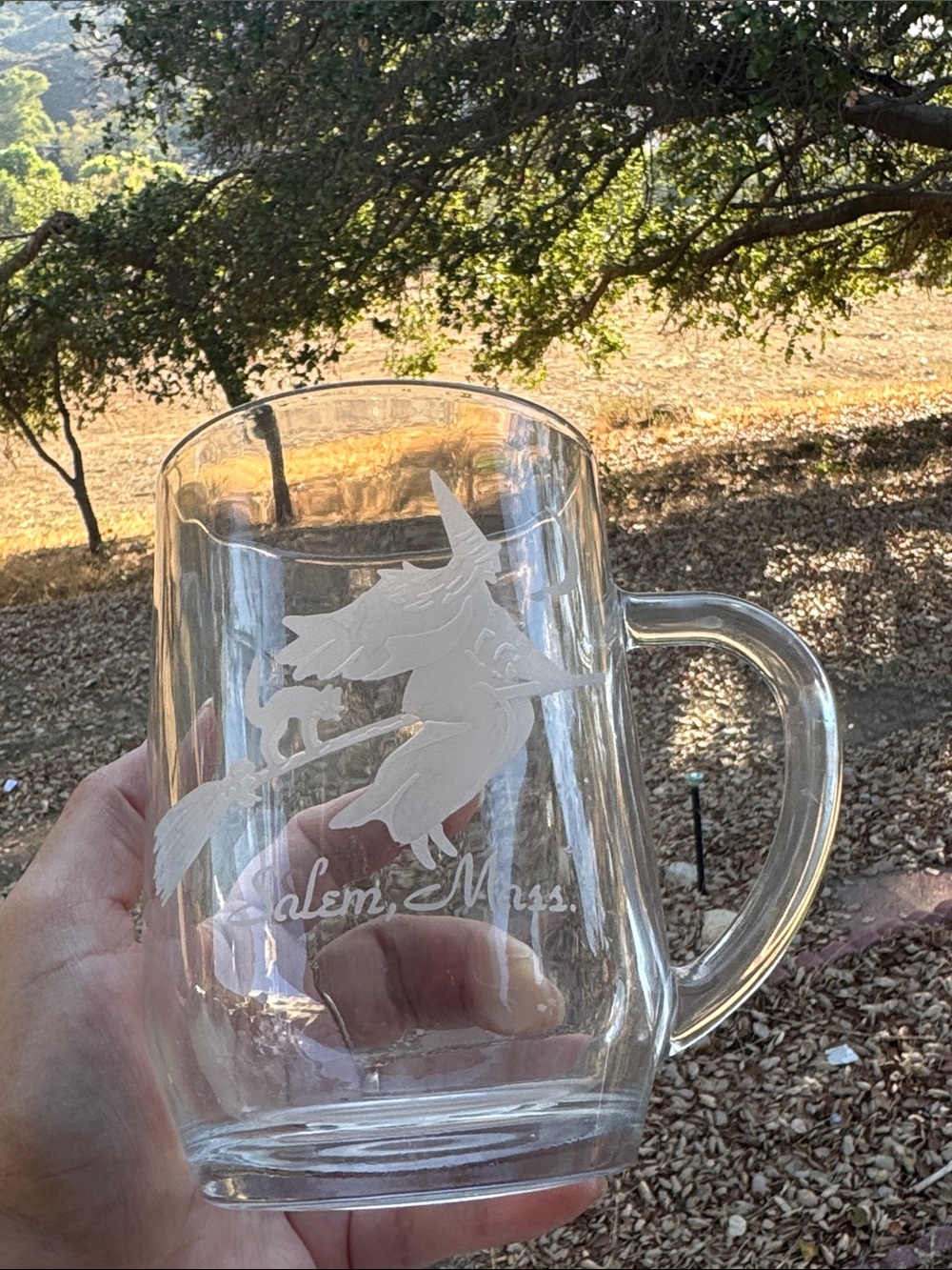 Clear Glass Beer Mug with Etched Witch Design  Salem, Mass.